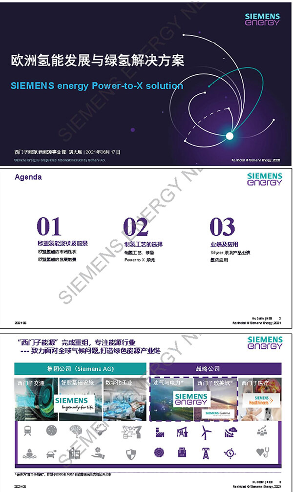 西門子胡大麟:歐洲氫能發展與綠氫解決方案 西門子胡大麟:歐洲氫能發展與綠氫解決方案