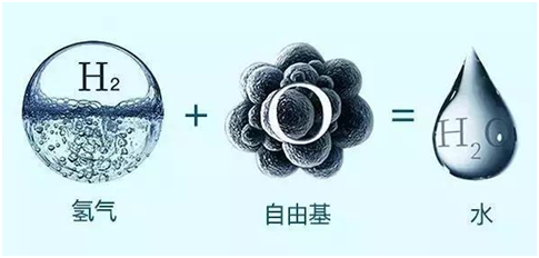 富氫水的功效與誤區 富氫水的功效與誤區