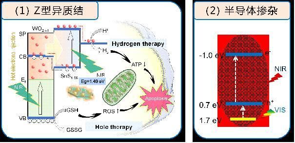 氫醫學領域取得了一系列的研究進展.jpg 氫醫學領域取得了一系列的研究進展.jpg