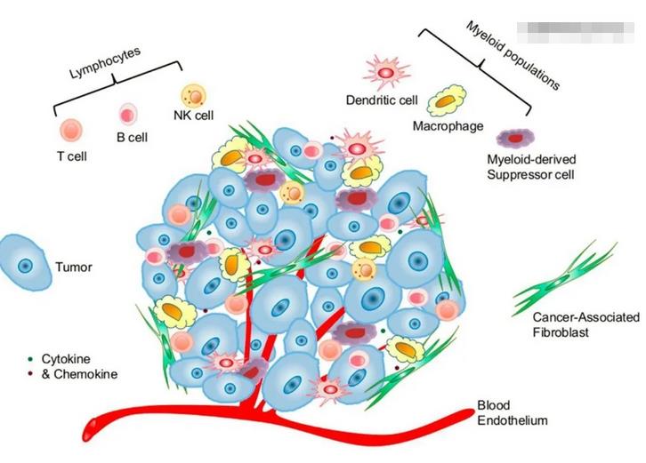 氫分子對腫瘤生長有一定的抑制作用,在放療和化療中提高療效,減少副作用.jpg 氫分子對腫瘤生長有一定的抑制作用,在放療和化療中提高療效,減少副作用.jpg