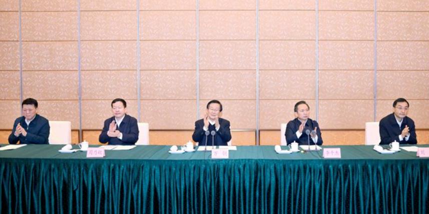 國家燃料電池技術創新中心和“氫進萬家”科技示范工程運行情況座談會舉行.jpg 國家燃料電池技術創新中心和“氫進萬家”科技示范工程運行情況座談會舉行.jpg